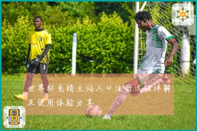 世界杯竞猜主站入口注册流程详解及使用体验分享