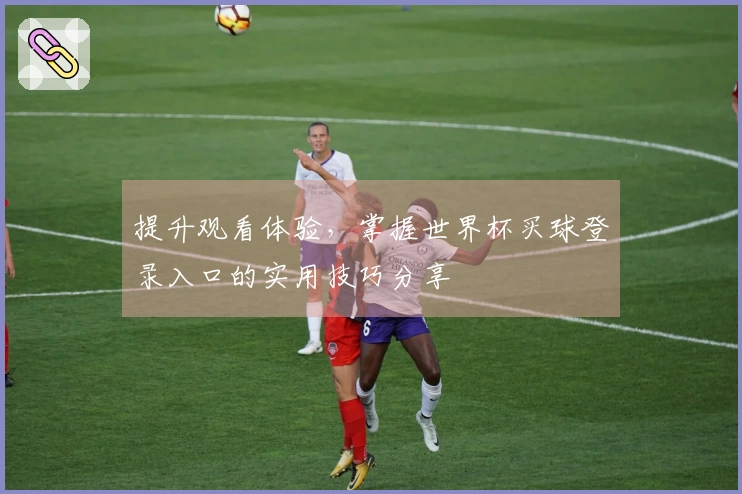 提升观看体验，掌握世界杯买球登录入口的实用技巧分享