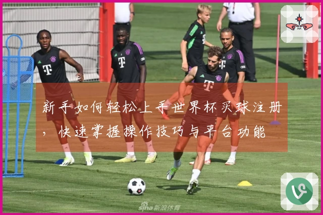 新手如何轻松上手世界杯买球注册，快速掌握操作技巧与平台功能