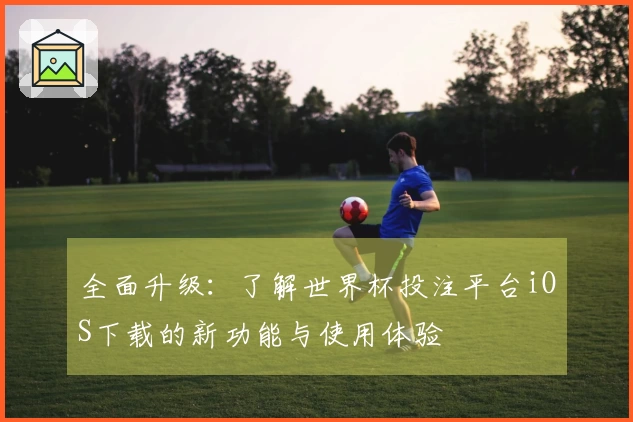 全面升级：了解世界杯投注平台iOS下载的新功能与使用体验