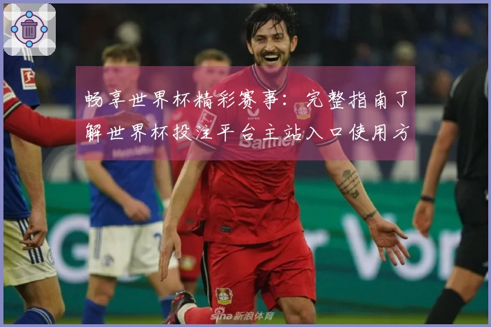 畅享世界杯精彩赛事：完整指南了解世界杯投注平台主站入口使用方法与功能介绍