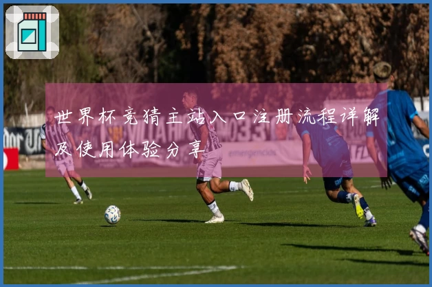 世界杯竞猜主站入口注册流程详解及使用体验分享
